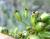 Img.VTax1604.Ex3.Img2