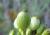Img.VTax1604.Ex3.Img3