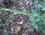 Img.VTax1604.Ex3.Img4