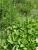 Img.VTax1606.Ex6.Img1