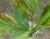 Img.VTax1606.Ex6.Img2