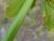 Img.VTax1606.Ex6.Img3