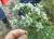 Img.VTax1607.Ex1.Img5
