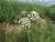 Img.VTax1608.Ex1.Img1