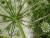 Img.VTax1608.Ex1.Img3