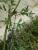 Img.VTax1608.Ex1.Img4