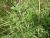 Img.VTax1608.Ex1.Img5