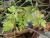 Img.VTax1608.Ex2.Img1