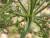 Img.VTax1608.Ex2.Img3