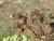 Img.VTax1608.Ex2.Img4