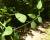 Img.VTax162.Ex1.Img1