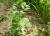 Img.VTax162.Ex1.Img3