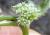 Img.VTax1623.Ex1.Img1