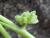 Img.VTax1623.Ex1.Img2