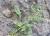 Img.VTax1623.Ex1.Img3