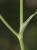 Img.VTax1632.Ex1.Img1