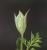 Img.VTax1632.Ex2.Img1