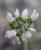 Img.VTax1632.Ex3.Img1