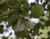 Img.VTax1643.Ex1.Img1
