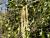 Img.VTax1643.Ex2.Img1