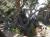 Img.VTax1650.Ex1.Img1