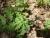 Img.VTax1658.Ex1.Img2