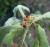 Img.VTax1658.Ex1.Img5