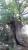 Img.VTax1660.Ex2.Img1