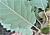Img.VTax1660.Ex3.Img2
