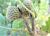 Img.VTax1660.Ex3.Img3