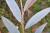 Img.VTax1682.Ex1.Img1