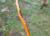Img.VTax1682.Ex1.Img3