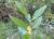 Img.VTax1682.Ex1.Img4