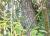 Img.VTax1682.Ex1.Img6