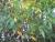 Img.VTax1682.Ex1.Img7
