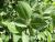 Img.VTax1697.Ex2.Img5