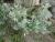 Img.VTax1717.Ex1.Img1