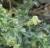 Img.VTax1717.Ex1.Img3