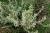 Img.VTax1717.Ex1.Img4