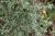 Img.VTax1717.Ex1.Img5