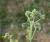 Img.VTax1717.Ex1.Img6