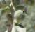 Img.VTax1717.Ex1.Img7