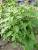 Img.VTax1722.Ex1.Img1