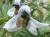 Img.VTax173.Ex1.Img1