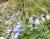 Img.VTax173.Ex1.Img2