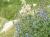 Img.VTax173.Ex1.Img3