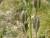 Img.VTax173.Ex1.Img4