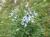 Img.VTax173.Ex1.Img5