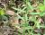 Img.VTax1740.Ex2.Img1