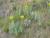 Img.VTax1740.Ex2.Img3